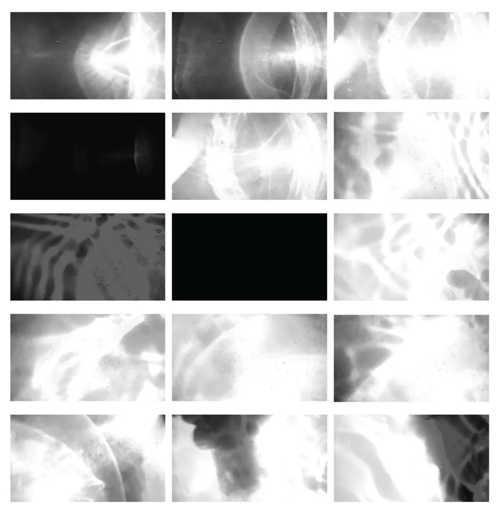 Sentium film contact sheet