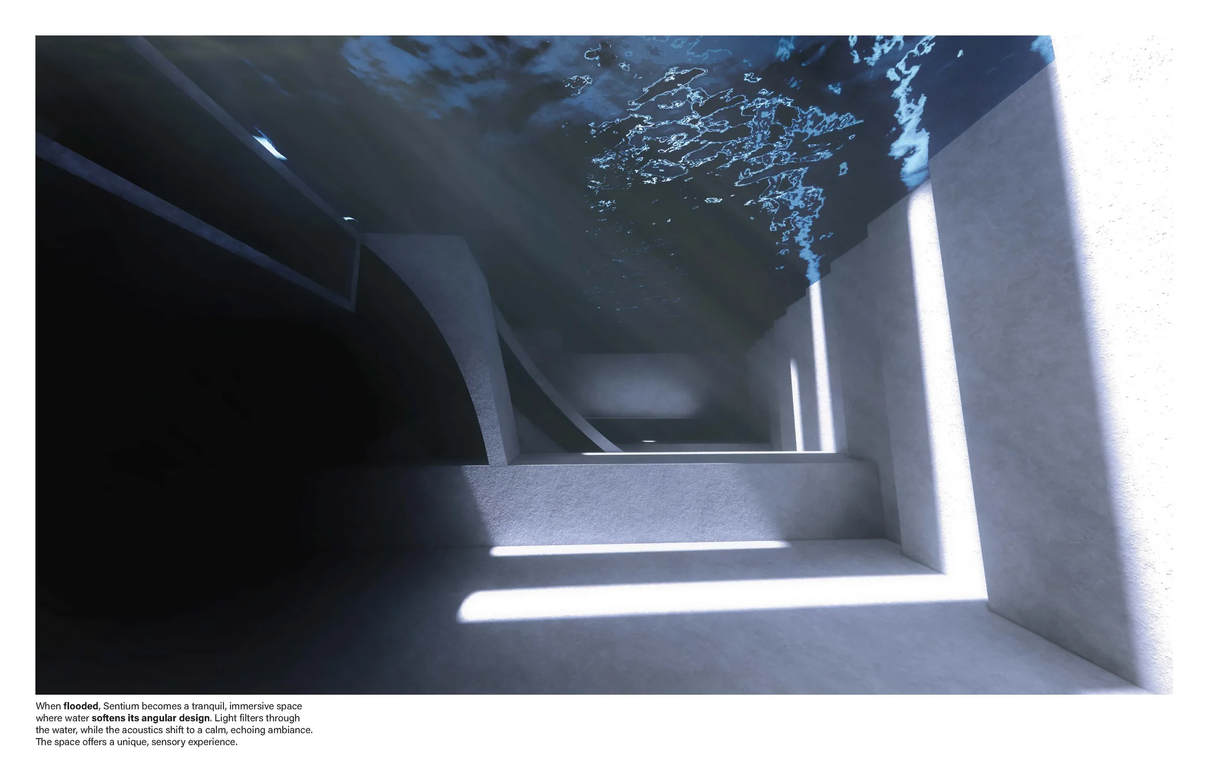 Sentium flooded interior render